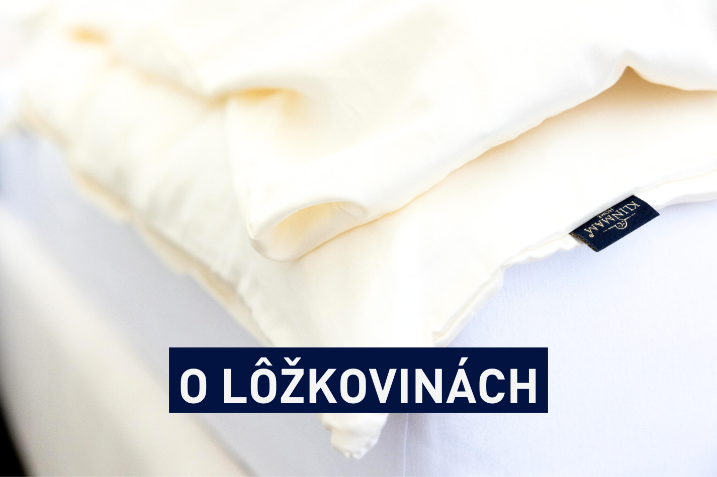 O lôžkovinách